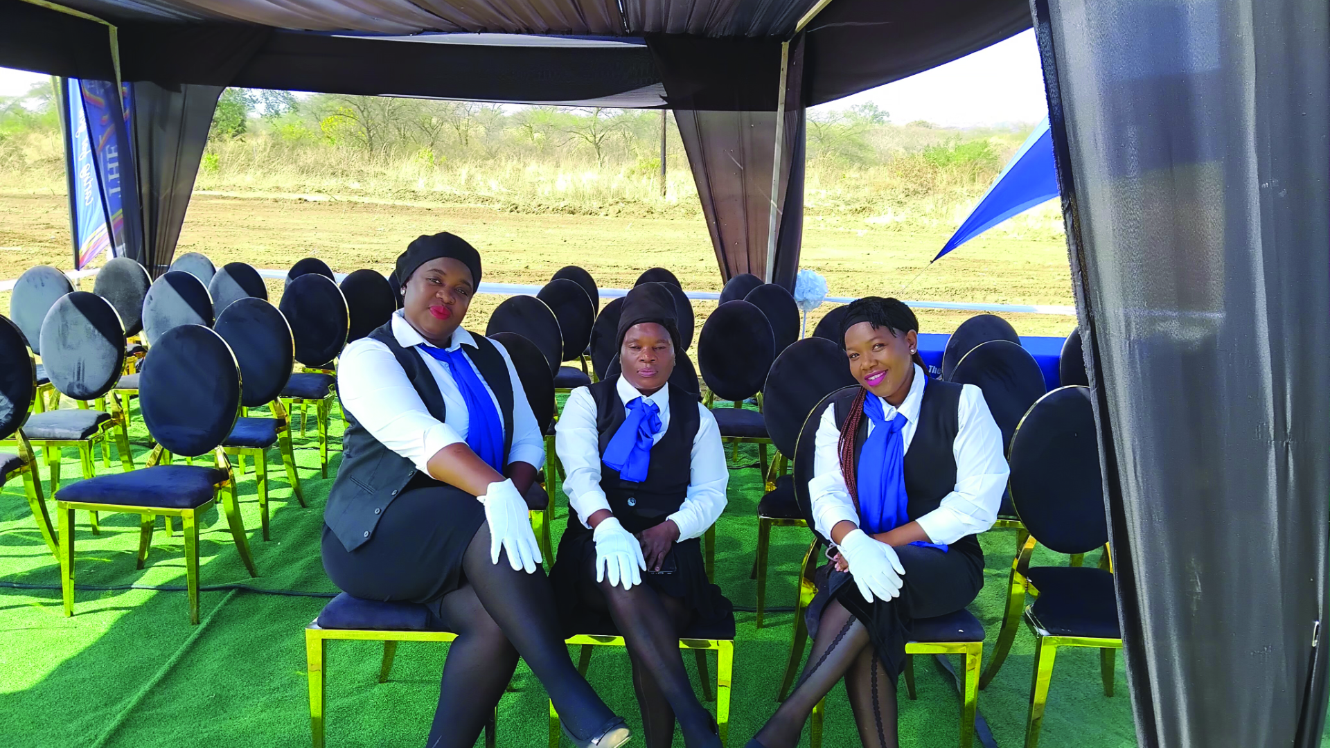 Our Team